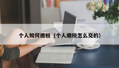 个人如何缴税（个人缴税怎么交的）