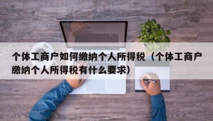 个体工商户如何缴纳个人所得税（个体工商户缴纳个人所得税有什么要求）