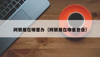 网银盾在哪里办（网银盾在哪里登录）