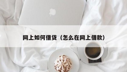 网上如何借贷（怎么在网上借款）