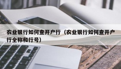 农业银行如何查开户行（农业银行如何查开户行全称和行号）