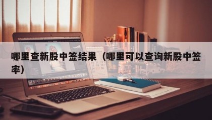 哪里查新股中签结果（哪里可以查询新股中签率）