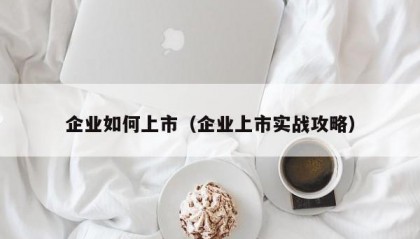 企业如何上市（企业上市实战攻略）