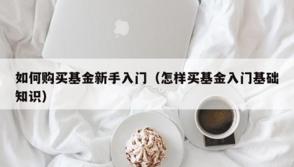 如何购买基金新手入门（怎样买基金入门基础知识）