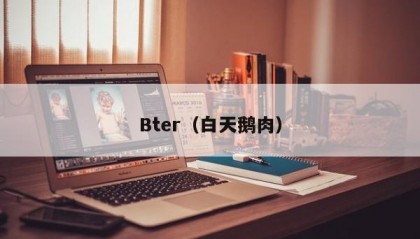 Bter（白天鹅肉）