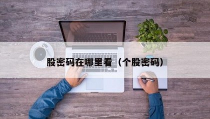 股密码在哪里看（个股密码）
