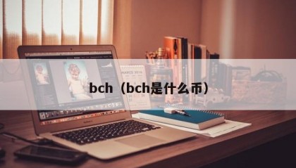 bch（bch是什么币）