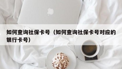 如何查询社保卡号（如何查询社保卡号对应的银行卡号）