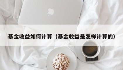 基金收益如何计算（基金收益是怎样计算的）