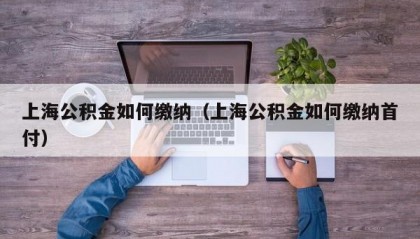 上海公积金如何缴纳（上海公积金如何缴纳首付）