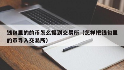 钱包里的的币怎么提到交易所（怎样把钱包里的币导入交易所）