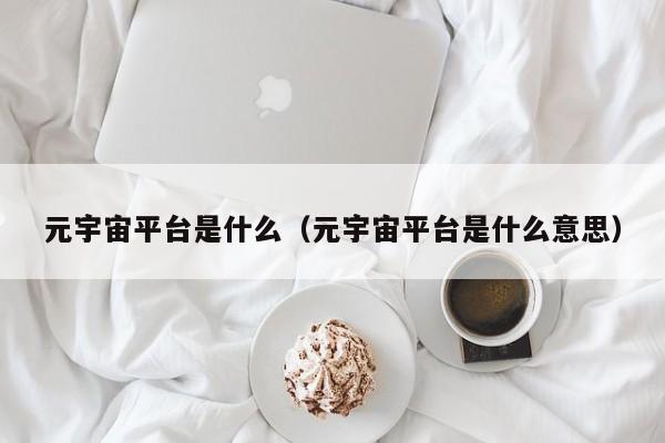 元宇宙平台是什么(元宇宙平台是什么意思)