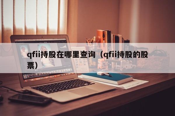 qfii持股在哪里查询(qfii持股的股票)