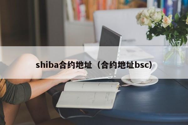 shiba合约地址(合约地址bsc)