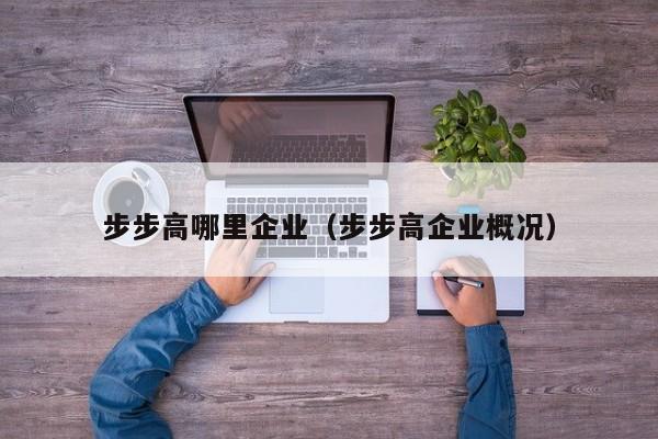 步步高哪里企业(步步高企业概况)