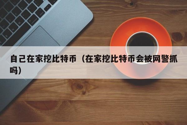 自己在家挖比特币(在家挖比特币会被网警抓吗)