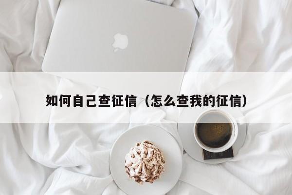 如何自己查征信(怎么查我的征信)