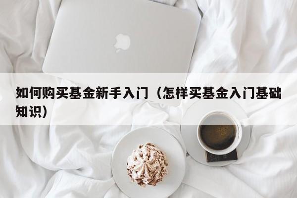 如何购买基金新手入门(怎样买基金入门基础知识)