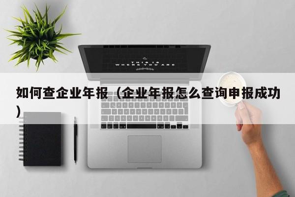如何查企业年报(企业年报怎么查询申报成功)