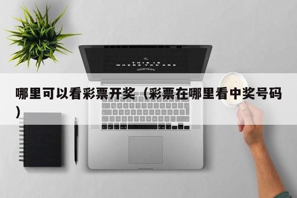 哪里可以看彩票开奖(彩票在哪里看中奖号码)