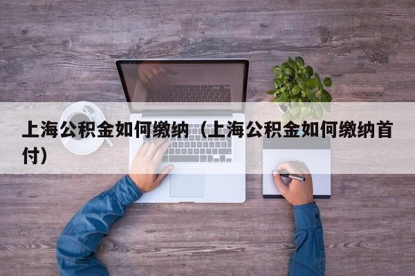 上海公积金如何缴纳(上海公积金如何缴纳首付)