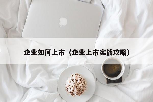 企业如何上市(企业上市实战攻略)