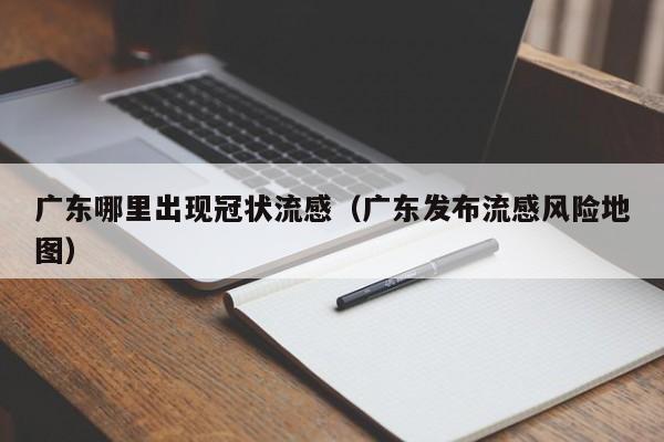广东哪里出现冠状流感(广东发布流感风险地图)