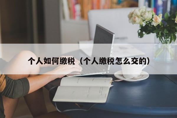 个人如何缴税(个人缴税怎么交的)
